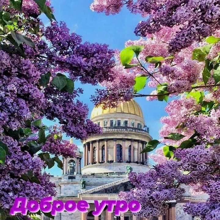 Nước Nga vĩ đại 9N8Đ